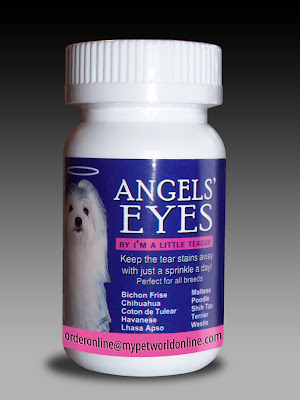 Angel eyes фары