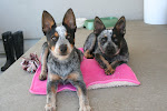 Bella and Ruby
