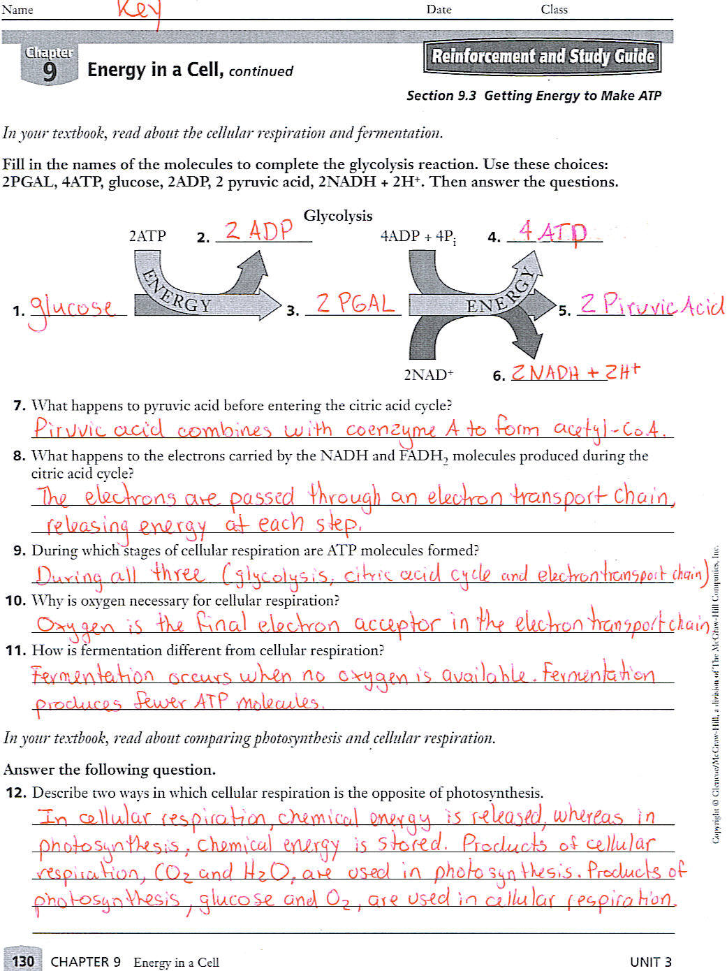 ib-biology-solalto-9th-grade-3rd-mp