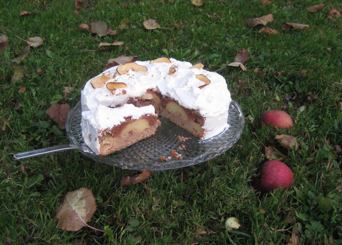 Barbaras Spielwiese: Apfel-Amaretto-Torte