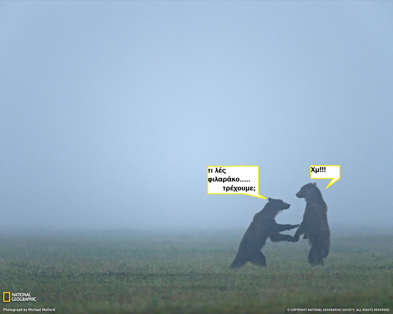 [bears+in+mist-russia-2.jpg]