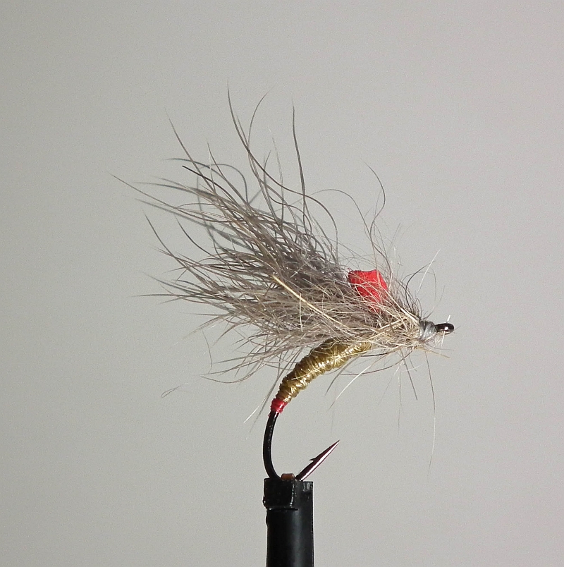 The African Fly Angler Snowshoe Caddis