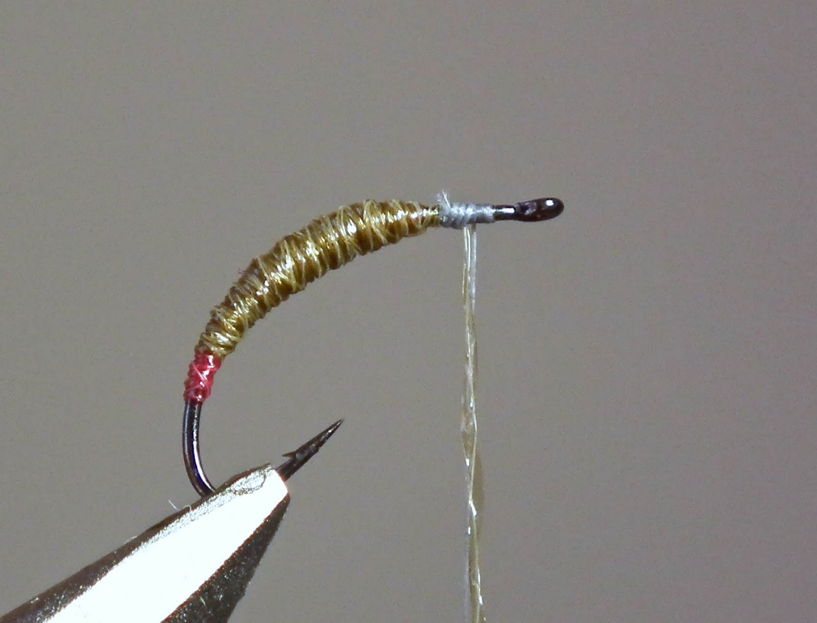 The African Fly Angler Snowshoe Caddis