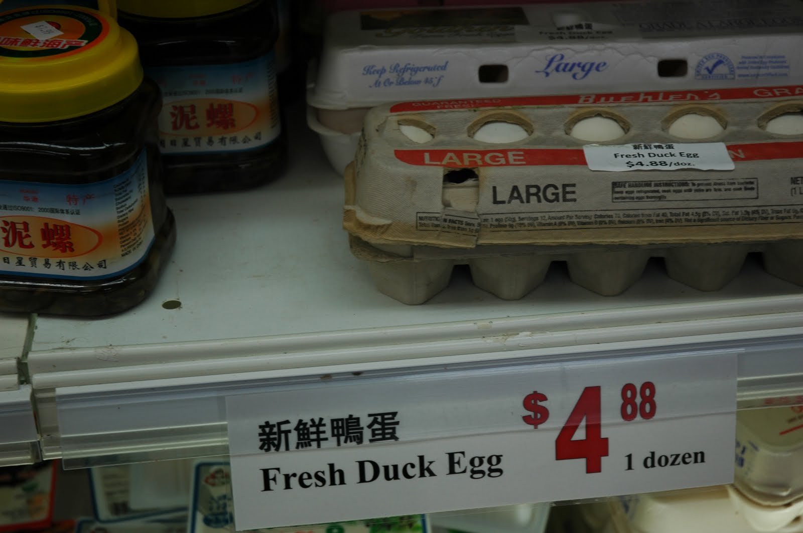 [liduck.JPG]