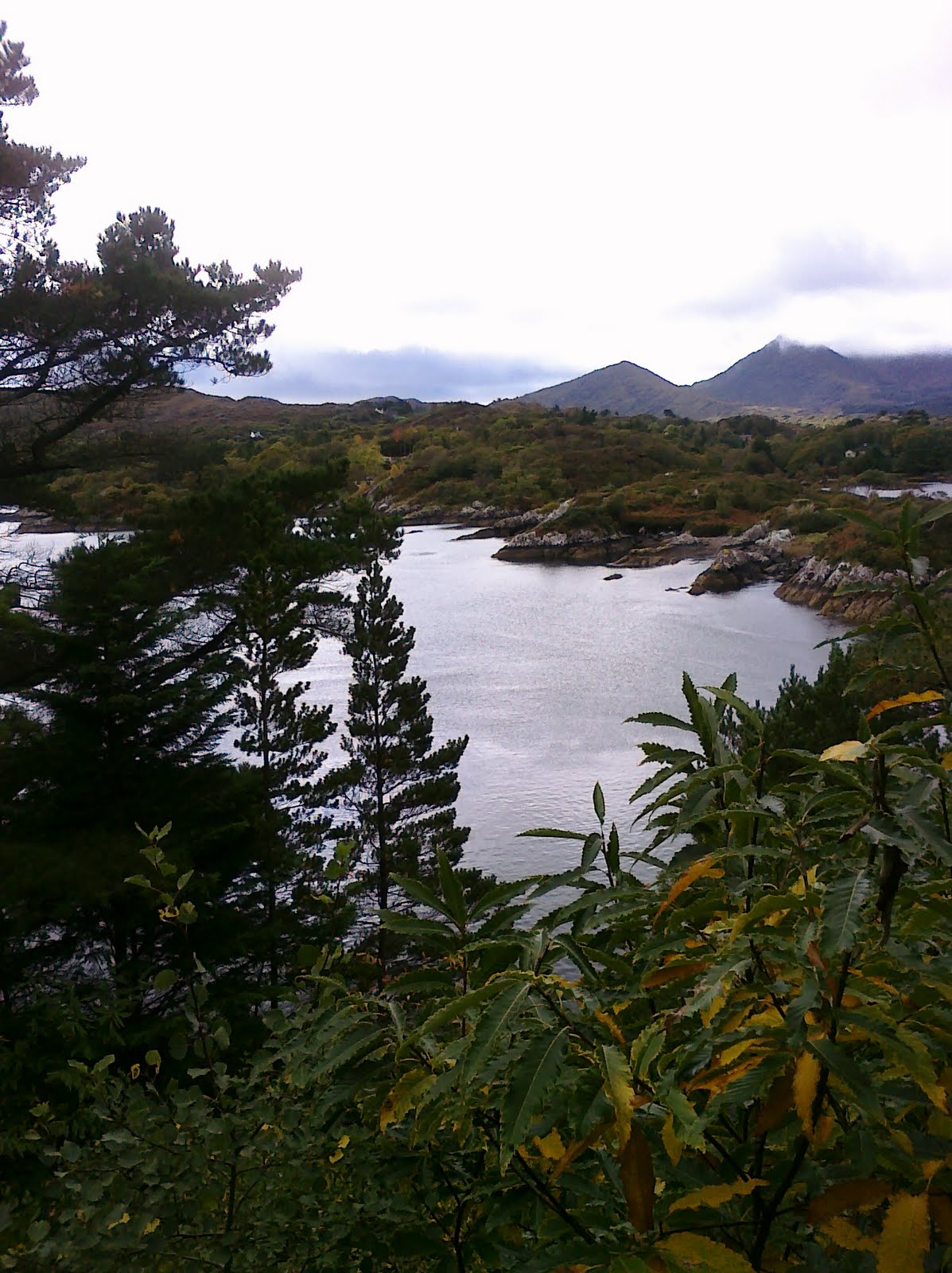 [Bantry+Bay.jpg]