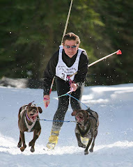 Skijoring  Chester 2008