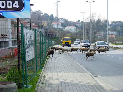 Clica para aumentar