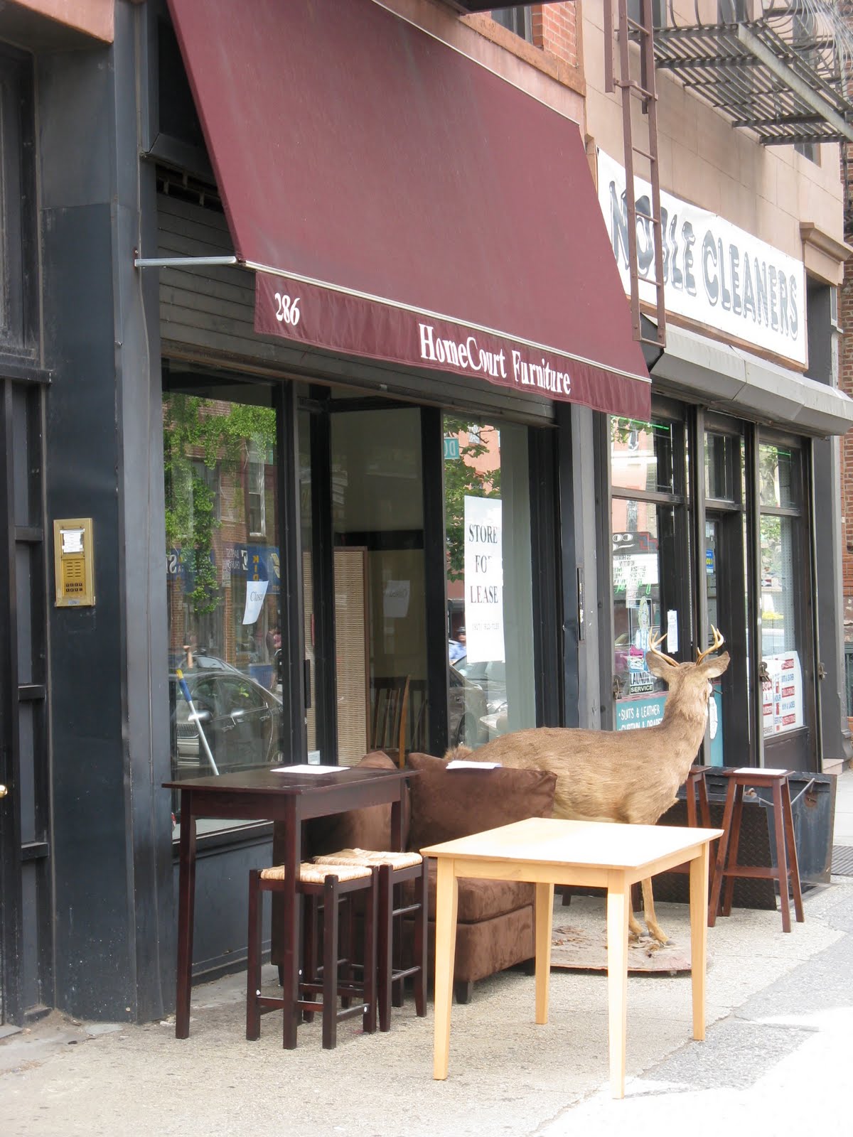 Pardon Me For Asking: 'Home Court' Furniture Store On ...