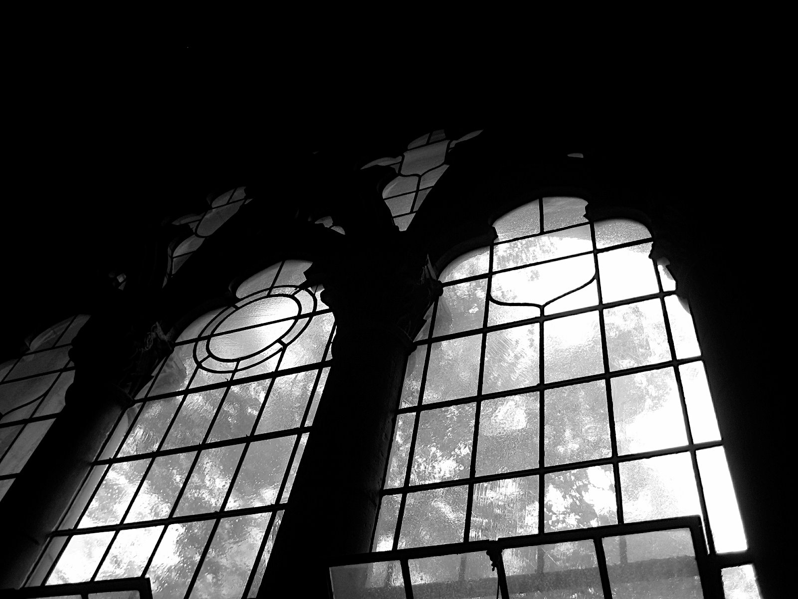 university black white mid