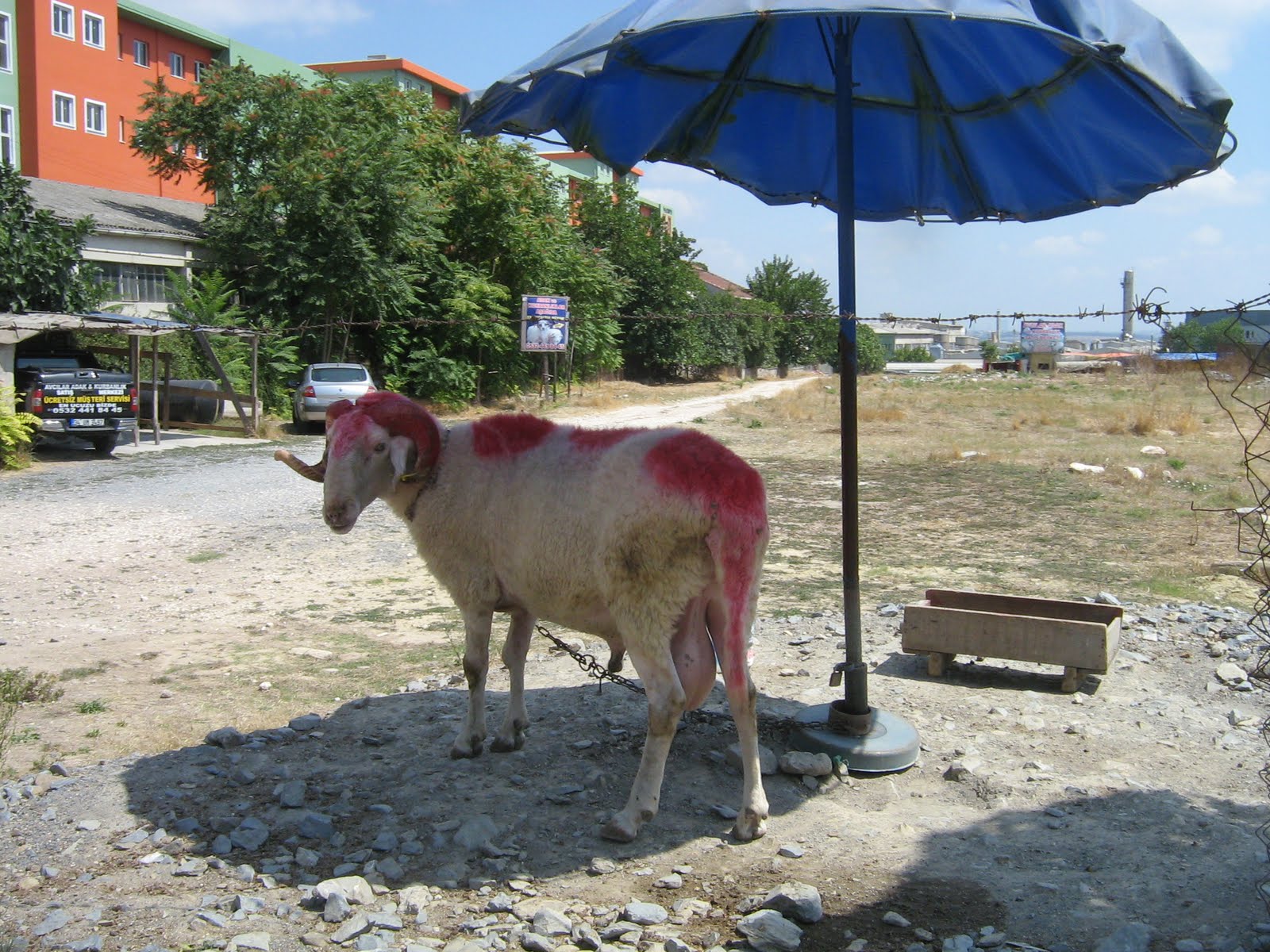 [IMG_0480.JPG]