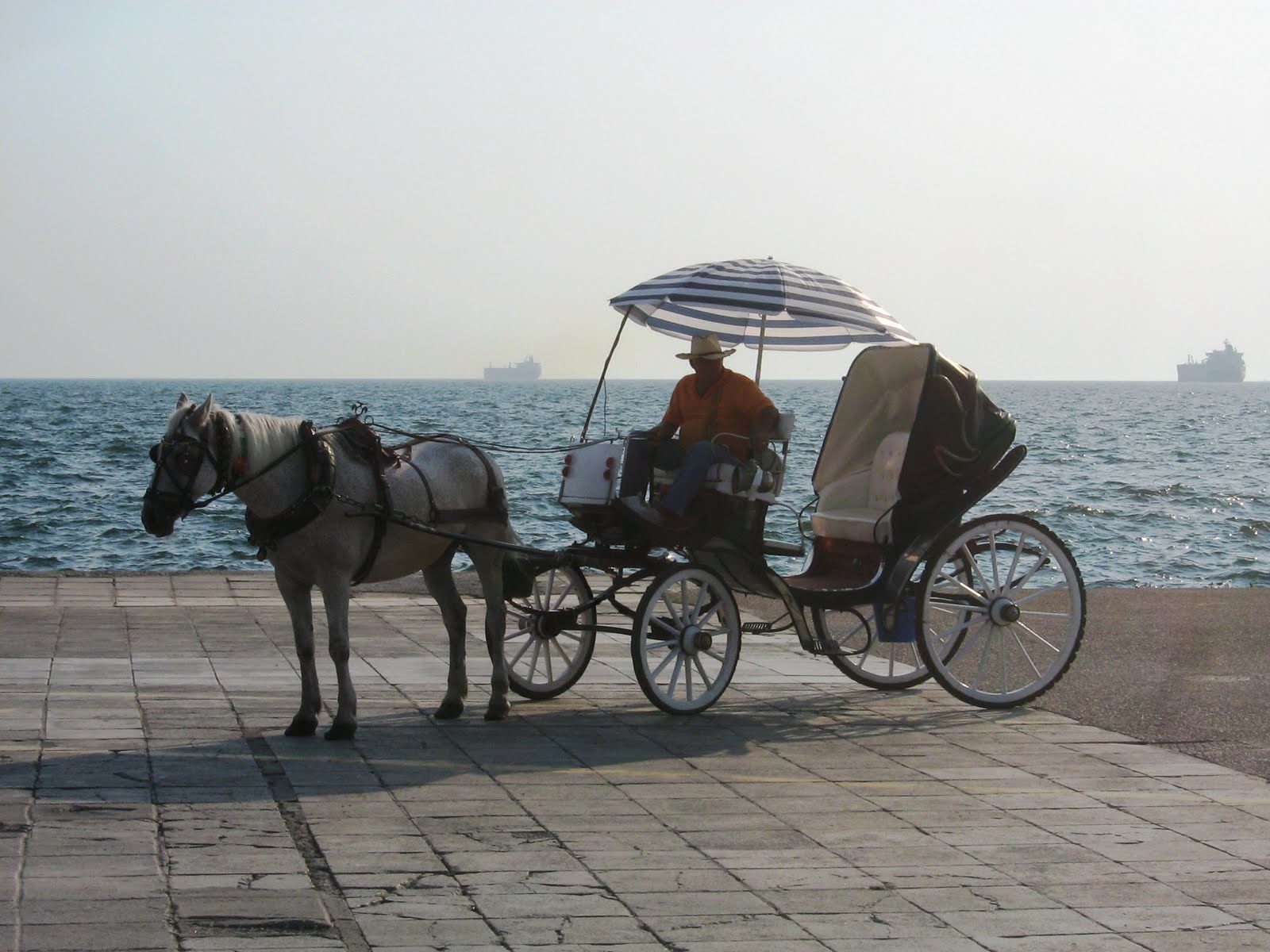 [IMG_0511.JPG]