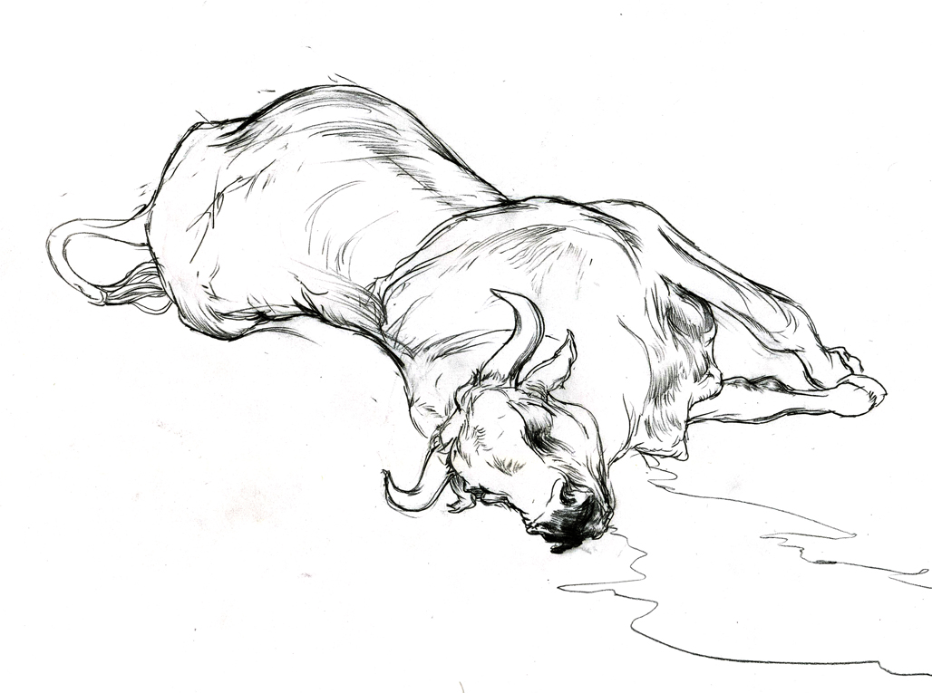 Как нарисовать лежащую собаку легко