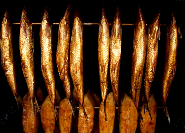 smoking bluefish smoking bluefish
