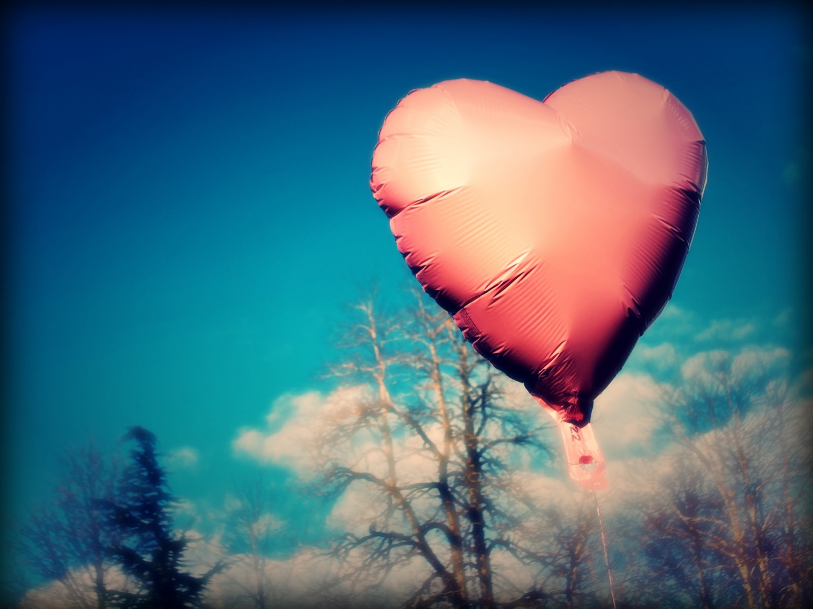 Jill of All Trades CRAFT: Valentine&rsquo;s Day Photoshoot