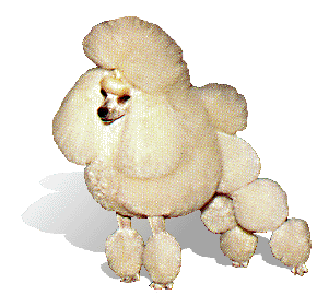 [poodle-toy.gif]