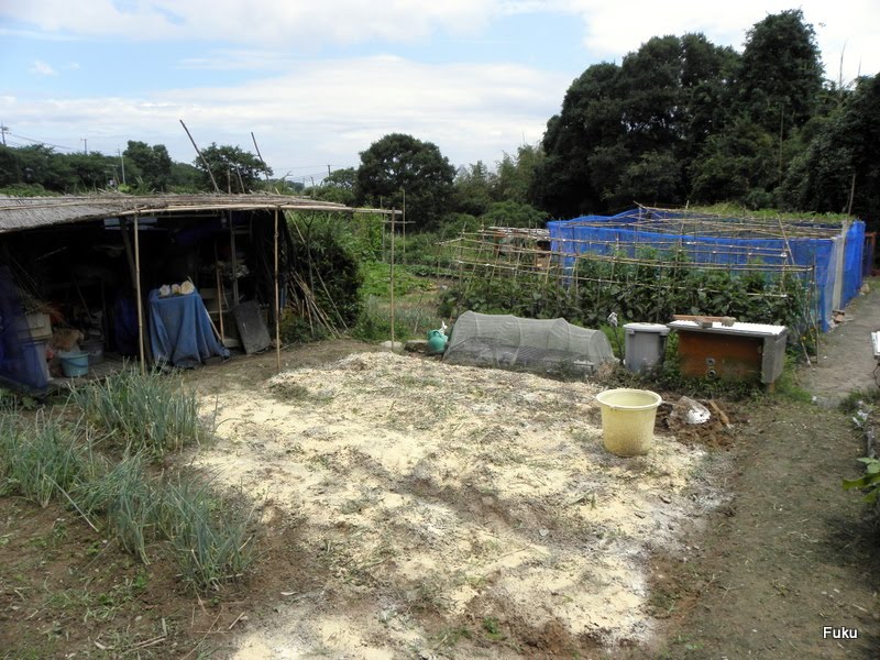 ６０過ぎの日々 家庭菜園畑の作業記録 家庭菜園畑 太陽熱利用の土壌消毒 初めての試み