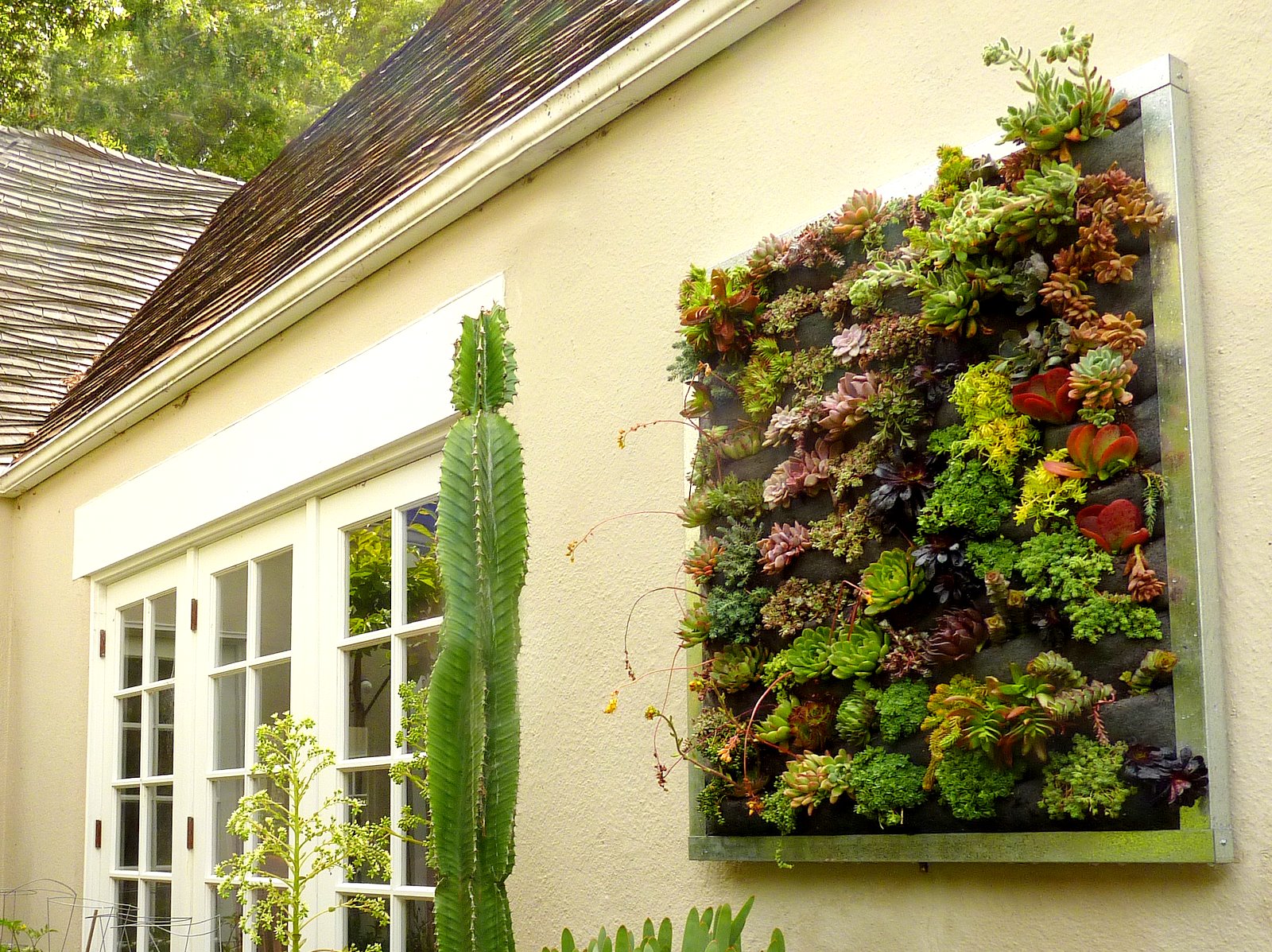 Plants On Walls vertical garden systems: Gilman Succulent Garden: A 