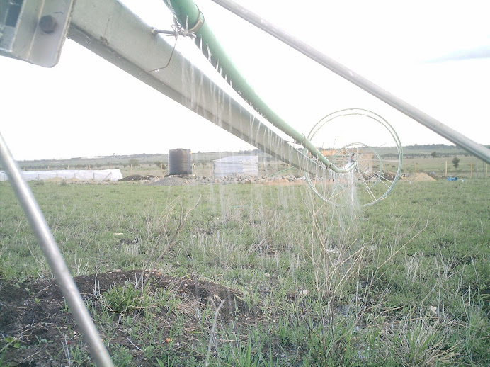 rainmakerirrigationmachine Rainmaker irrigation machine mobile 0722580331