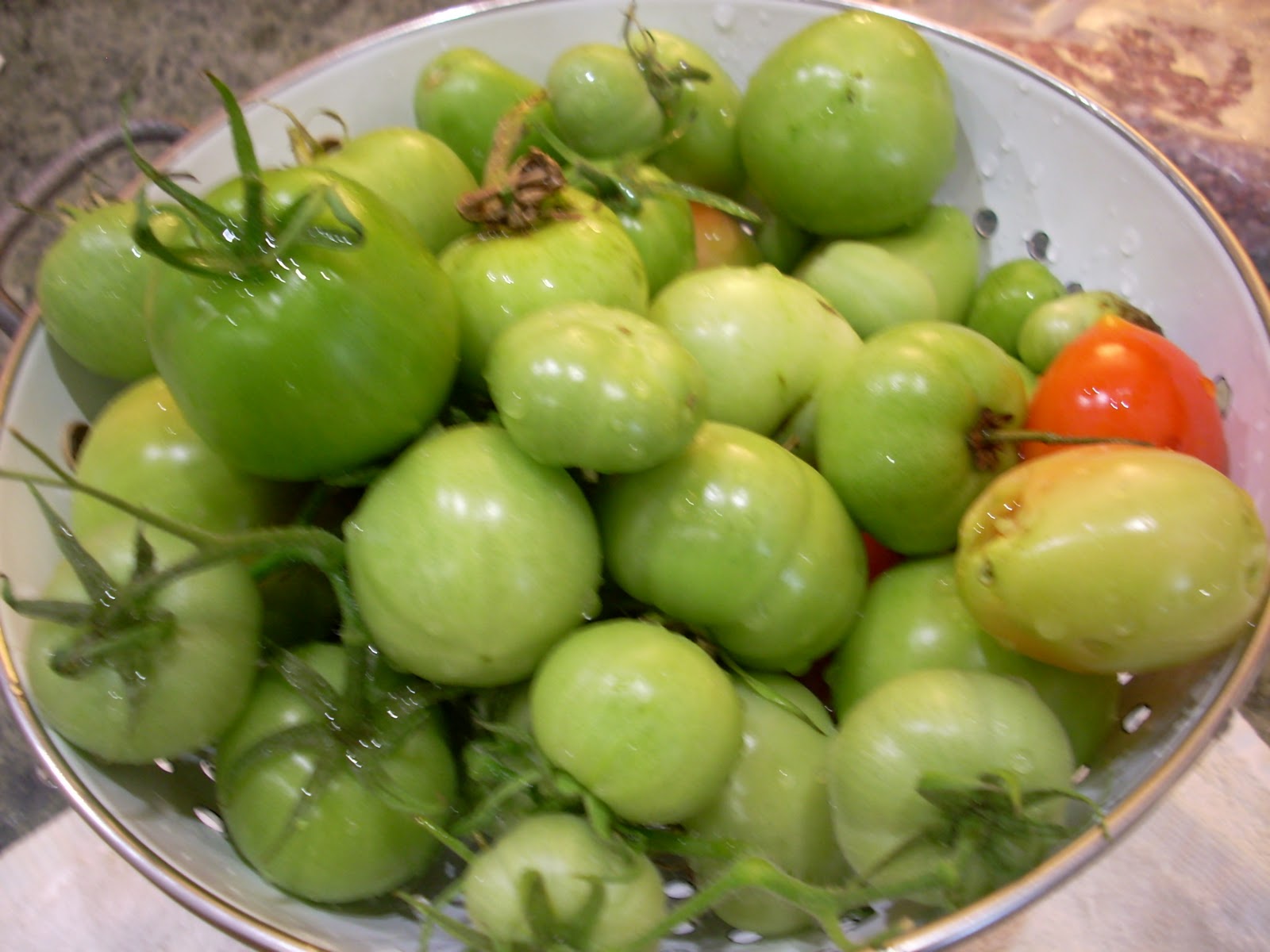 Car Free in Ann Arbor Green Tomato Chili