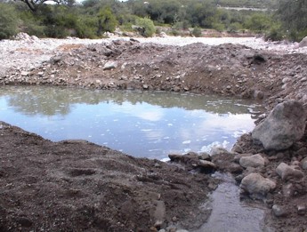 EVIDENCIAS DE CONTAMINACIÓN