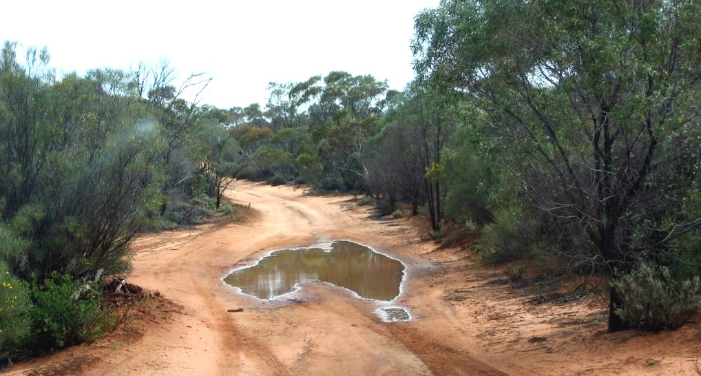 [australia-puddle-large.jpg]