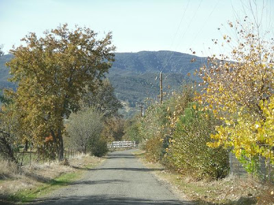 weblog valdez marc 2009