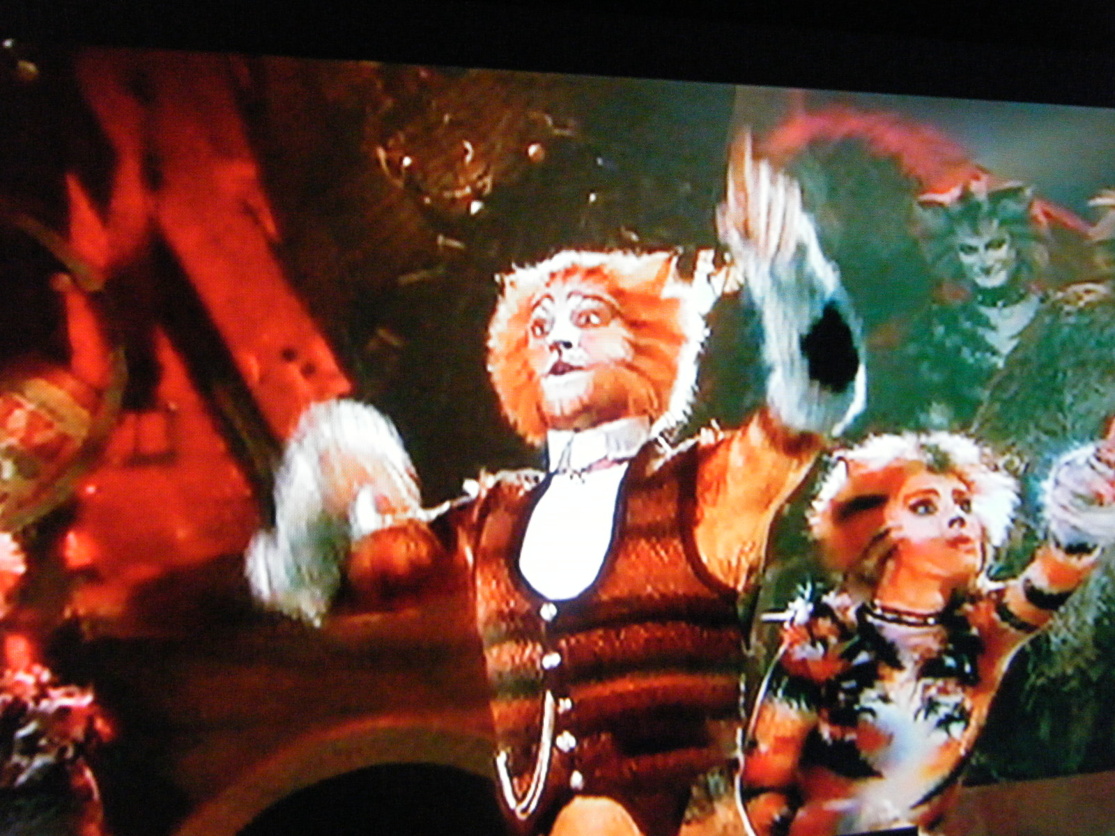 Carb Tripper: fat cats ♪ the musical