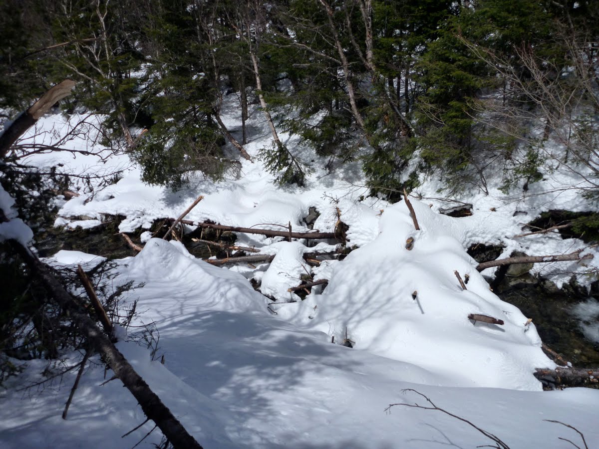 White Mountain Sojourn: 4-30-10 Ammonoosuc Ravine avalanche track