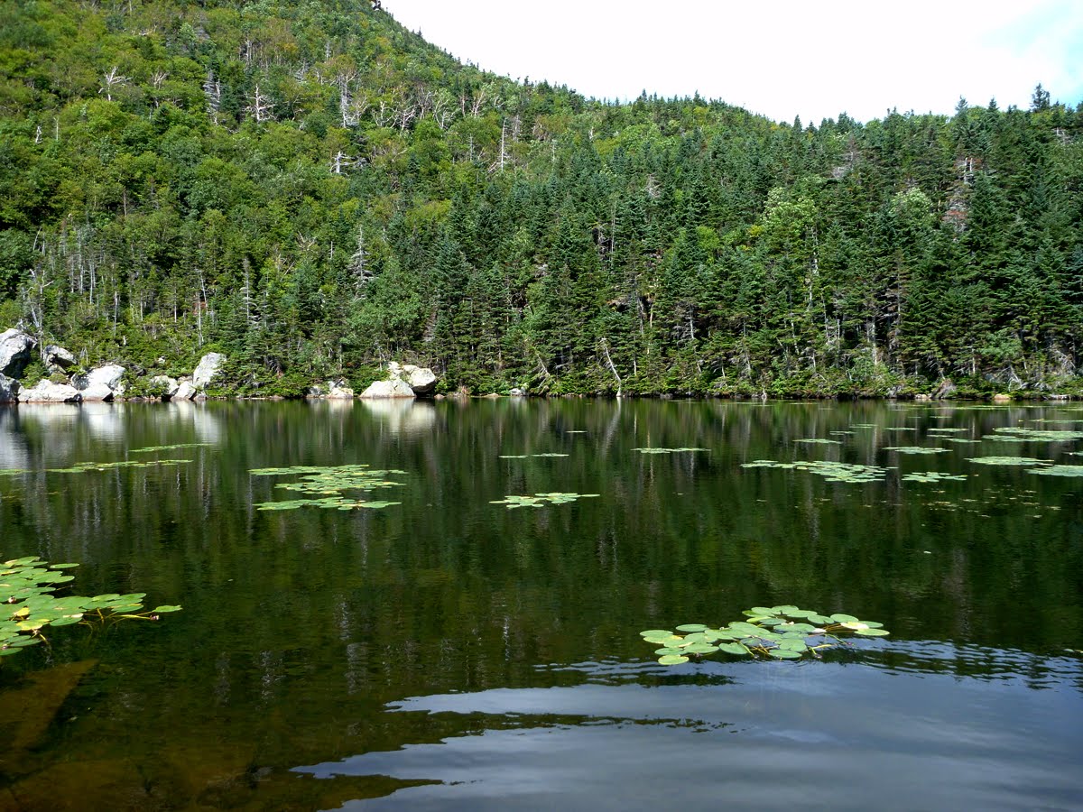 White Mountain Sojourn 81520 Carter Lake, Carter Notch