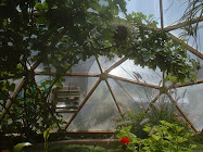 "Growing Dome" Greenhouses