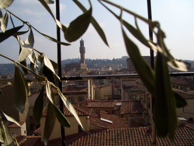 Näkymä Firenzestä