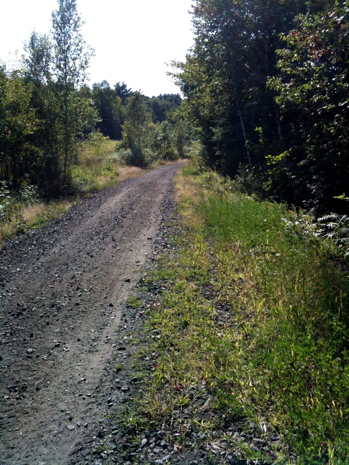 Ammonoosuc Rail Trail in New Hampshire