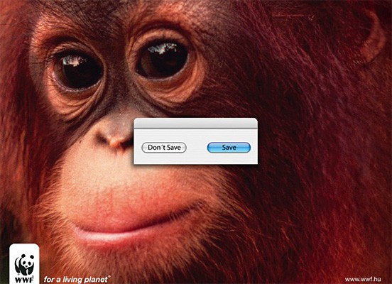 [wwf_ad_019.jpg]
