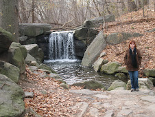 Yes a waterfall in Central Park!