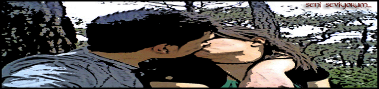 Seni Seviyorum Aşkımmm...