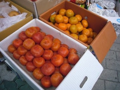 Persimmons, from http://www.maryeats.com
