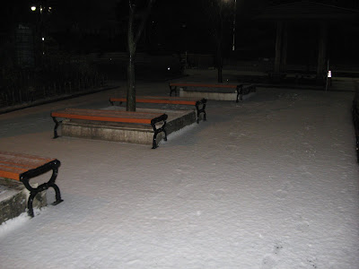 Snow, second fall of the day, in MaeHwa Park, Deungchon-dong, Gangseo-gu, Seoul 12-07-08
