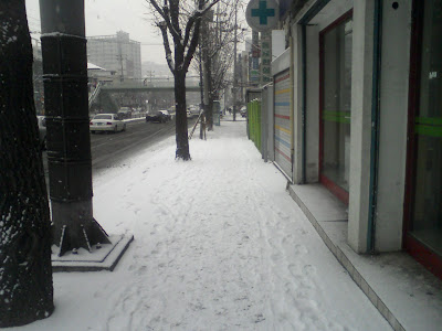Snow on Jan. 16, 2009