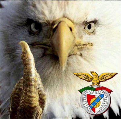 [%C3%81guia+Benfica.jpg]