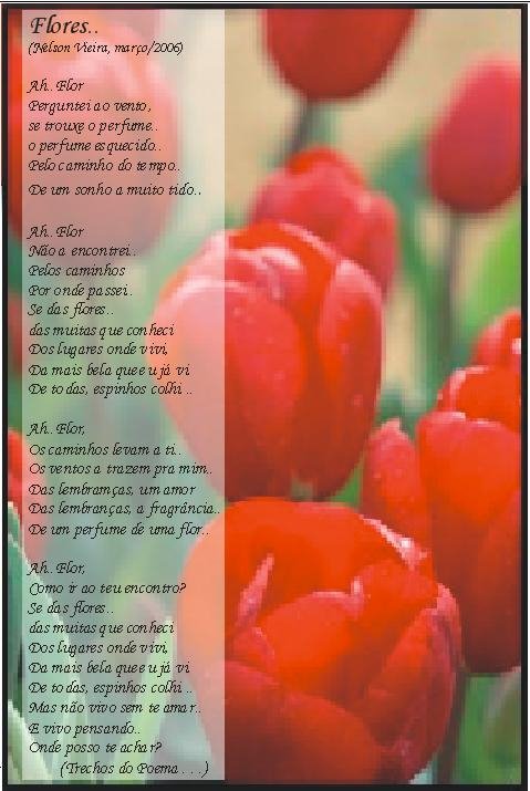 [tupi.bmp]