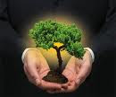 Plante ou adote uma árvore, as gerações futuras lhe agradecerão; pense nisso!