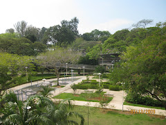 Marine Terrace Garden