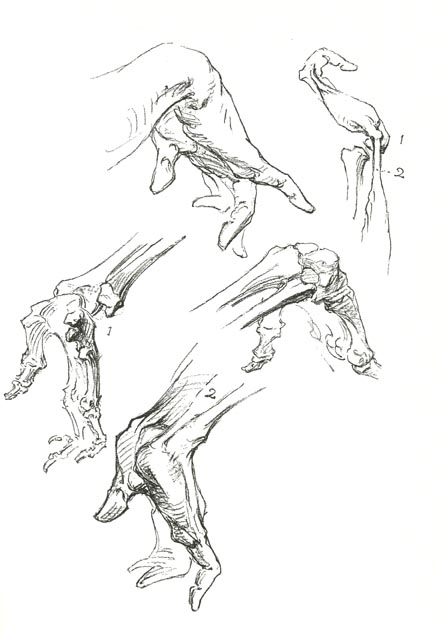 Bridgeman's Hands | LIFE NEEDS ART
