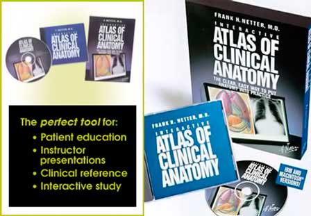 [Interactive+Atlas+of+Clinical+Anatomy+++Cardiovascular+2.0+-+Interactive+Tutorial.jpg]
