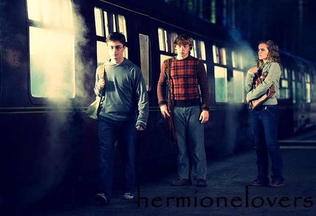 hermione lovers . <3