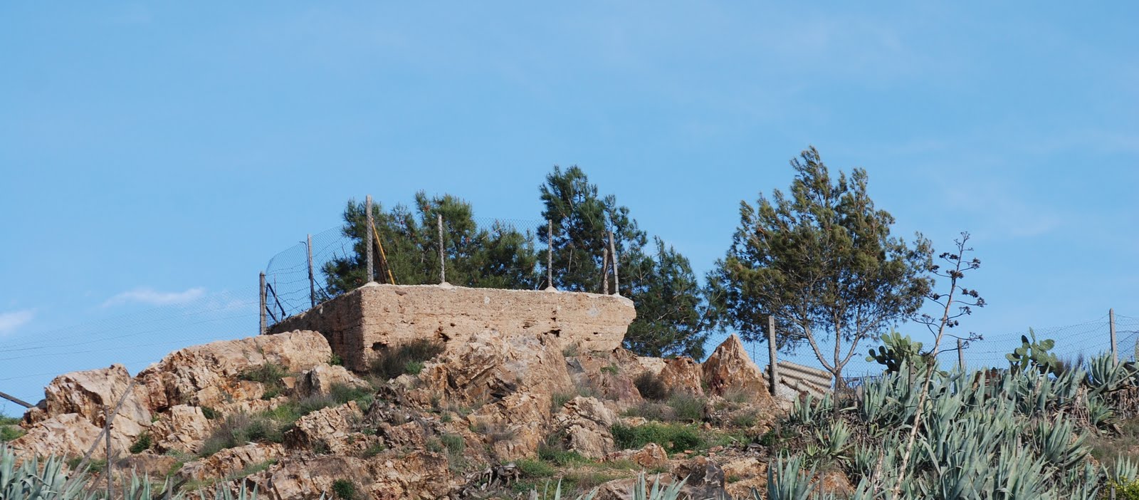 Crónicas de Cabezo de Torres EL