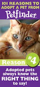 ****Click here**** to see our adoptable pets