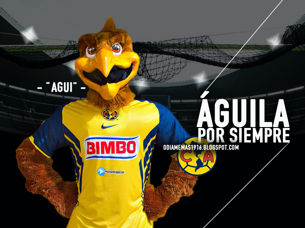 CLUB AMÉRICA | ODIAMEMAS1916 | PABLOAGREDA7 :::: Águila por Siempre -  Nuestra Mascota 