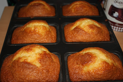  mini bizcochos de yogur y vainilla 