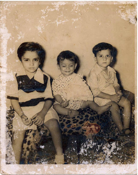 Three sons - Kapil (Pappu), Sajeev (Punnu) and Amir (Meeru)